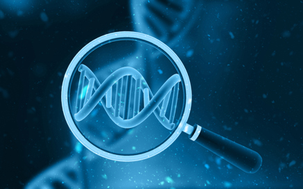 Istock 1471589401 (1)